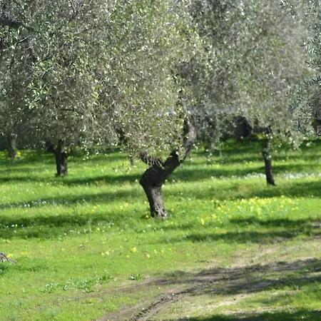 Séjour à la campagne Casa Masia Alghero