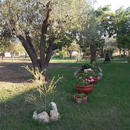 Séjour à la campagne Casa Masia